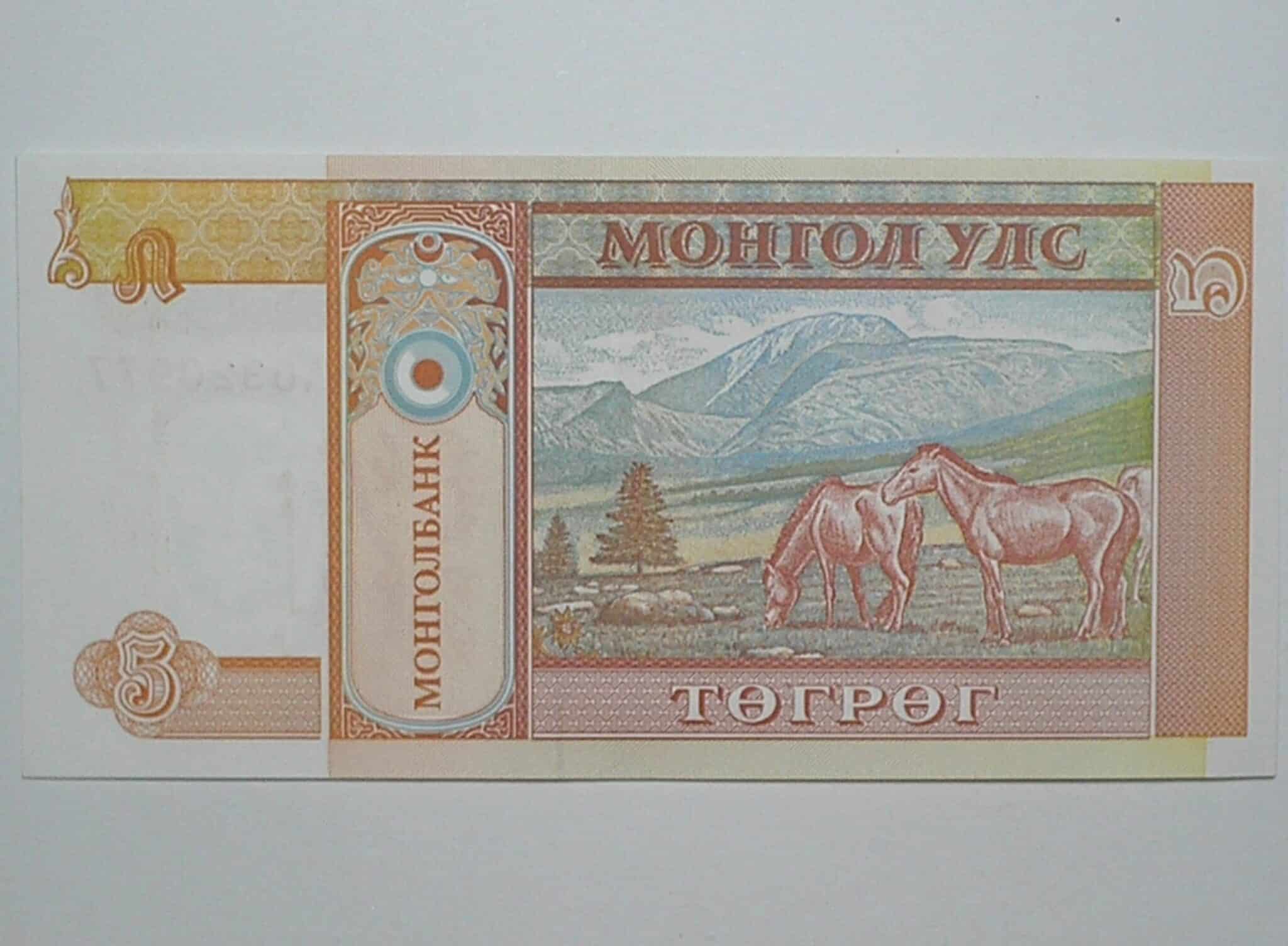 | Casa do Colecionador Mongolia / Cédula Estrangeira / 5 Tugtik - 1993 / Flor de Estampa