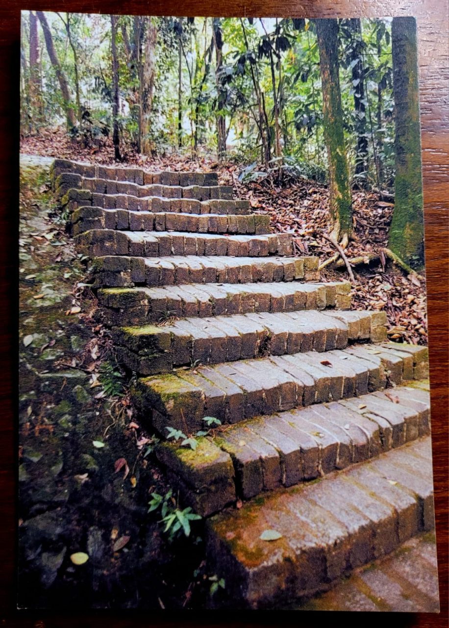 Cartão Postal – Minas Gerais (Juiz de Fora) Museu Mariano Procópio
