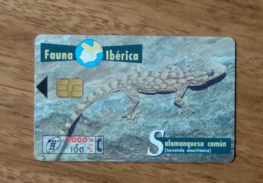 | Casa do Colecionador Cartão telefone Espanha Telefônica 1998. Fauna Iberica Salamandra comum.