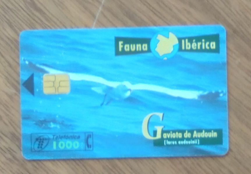 | Casa do Colecionador Cartão Espanha Telefônica 1998. Fauna Iberica Gaivota de Audouin.