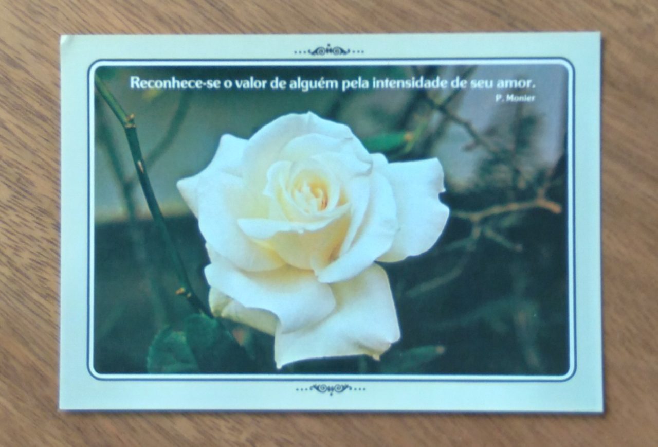 Cartão Postal Paulinas Natureza 2. Intensidade do amor.