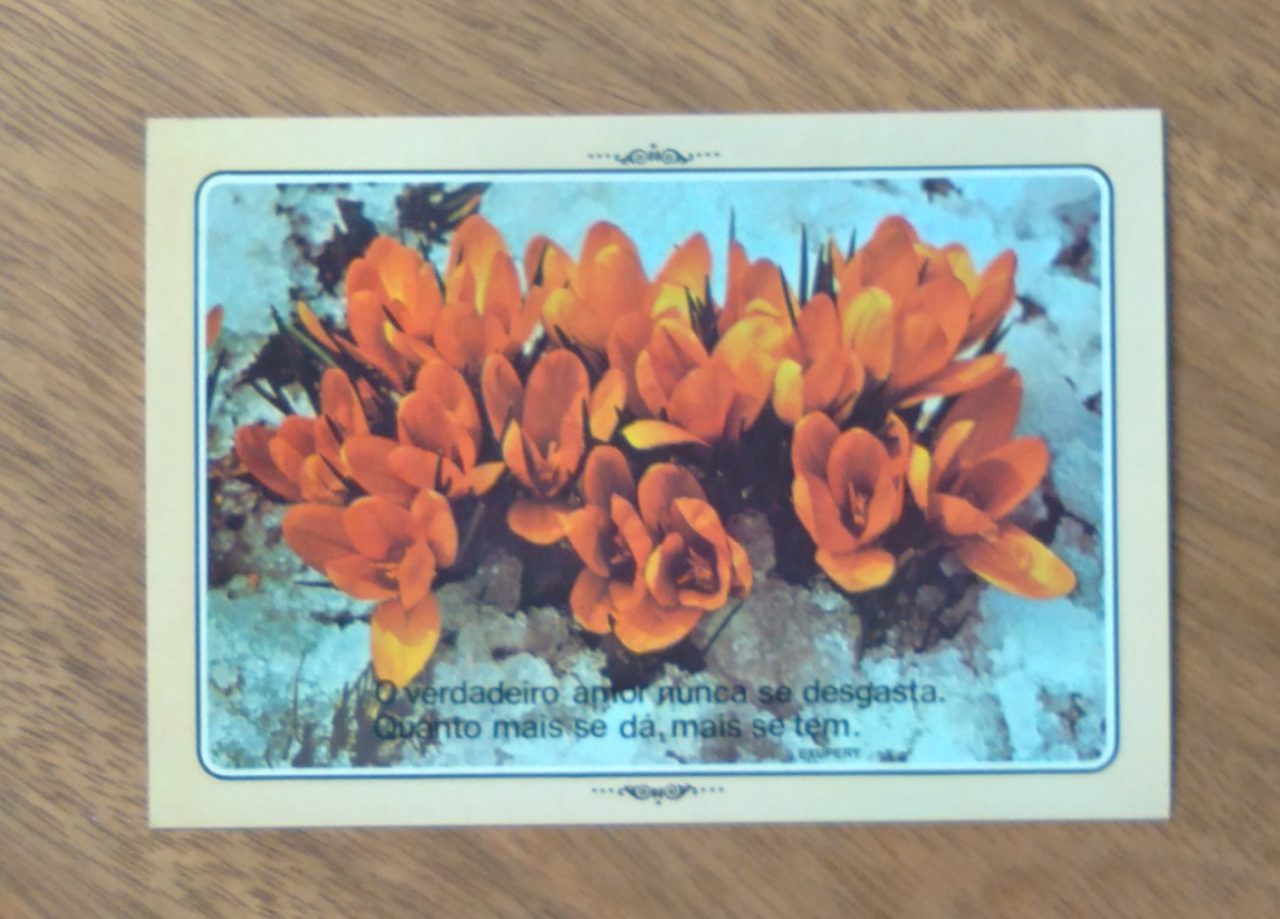 Cartão Postal Paulinas Natureza 8. O verdadeiro amor nunca se desgasta.