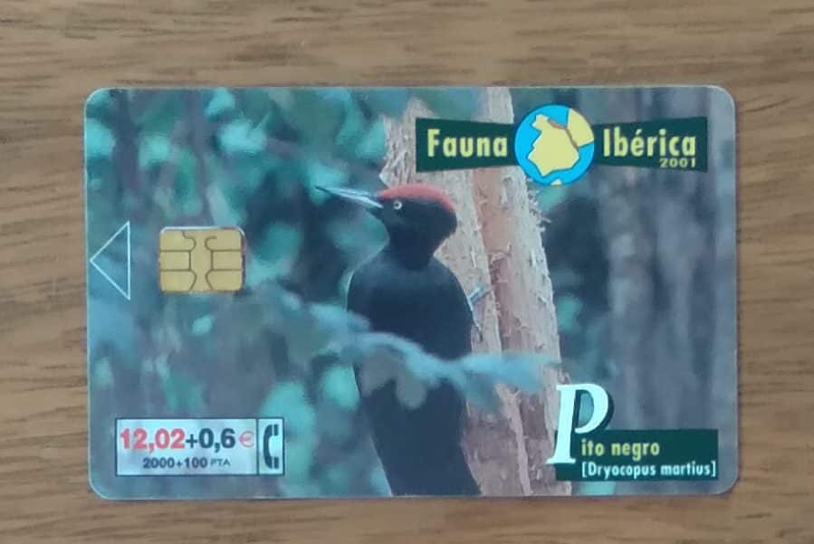 | Casa do Colecionador Cartão telefone Espanha Telefônica 2001. Fauna Iberica Pito negro.