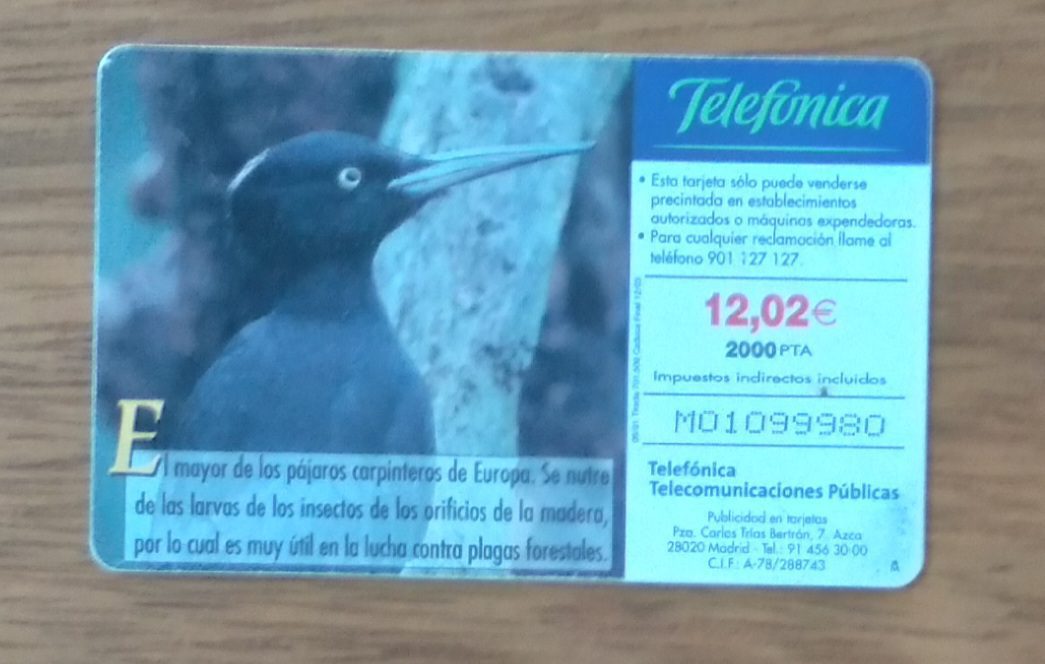 | Casa do Colecionador Cartão telefone Espanha Telefônica 2001. Fauna Iberica Pito negro.