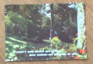 Cartão Postal Litoarte Pensamentos 134. Natureza. O amor é uma planta.