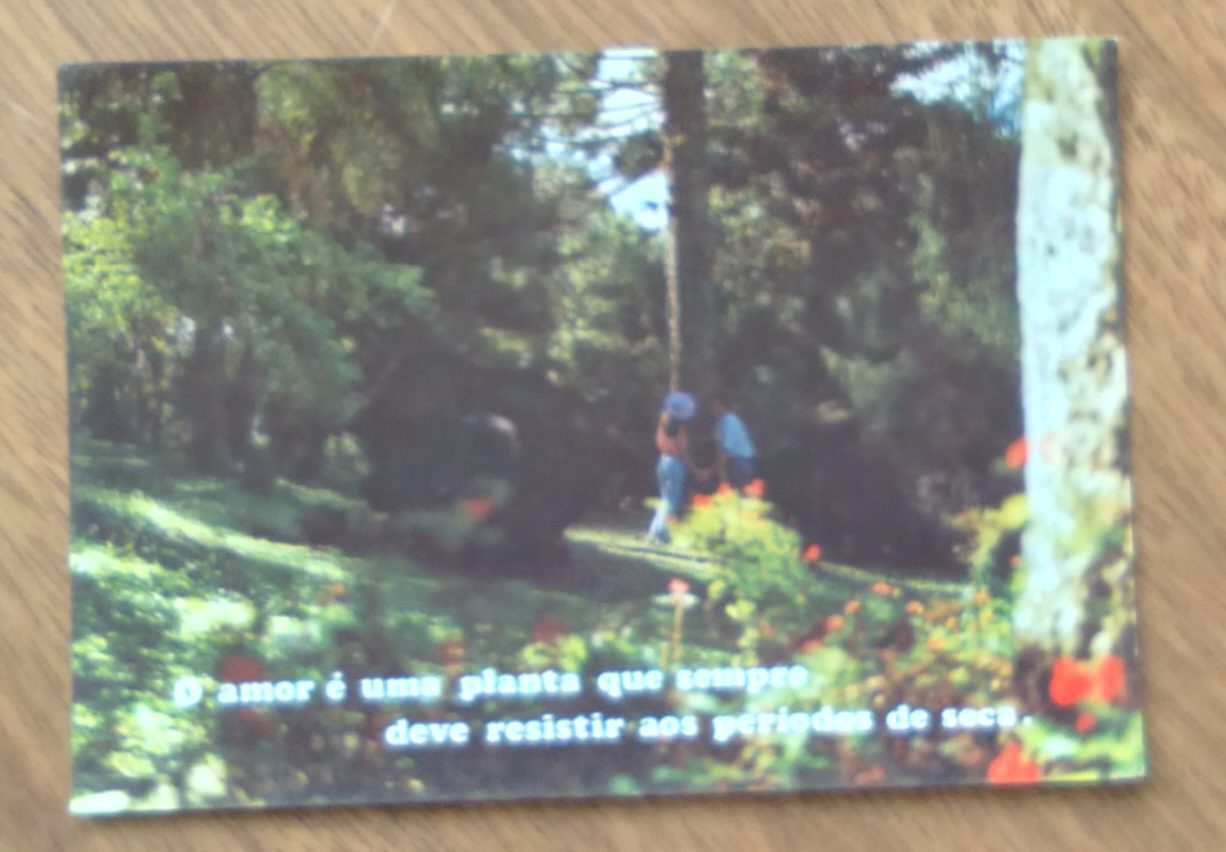 | Casa do Colecionador Cartão Postal Litoarte Pensamentos 134. Natureza. O amor é uma planta.