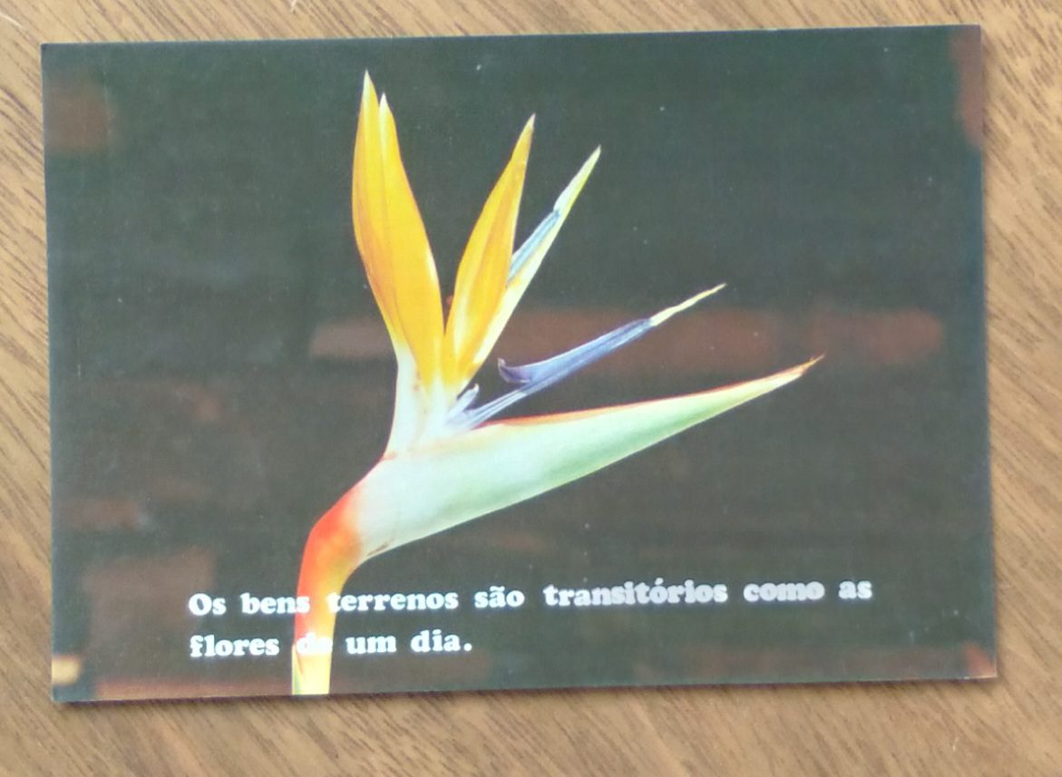 Cartão Postal Litoarte Pensamentos 70. Bens terrenos Flores de um dia.