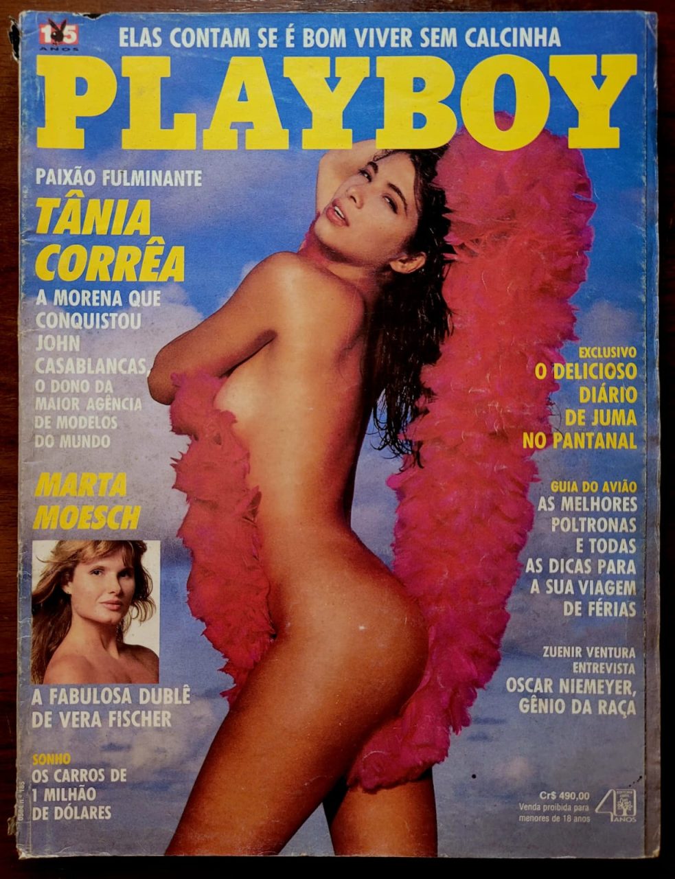 | Casa do Colecionador Playboy Nº 185 - Tânia Corrêa (Revista com Pôster) Dezembro 1990