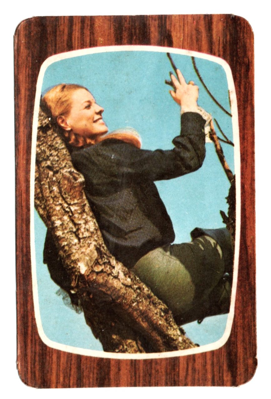 | Casa do Colecionador Calendario De Bolso - Tema Mulher - Marcenaria Butanta - SP - 1969