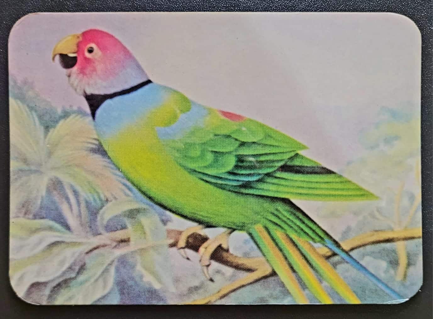 | Casa do Colecionador Calendário de Bolso (Tema Animais - Aves) Ano 1984