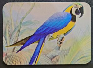 Calendário de Bolso (Tema Animais - Aves) Ano 1984