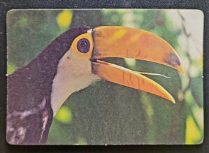 Calendário de Bolso (Tema Animais - Aves) Ano 1995