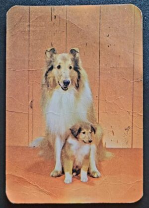 Calendário de Bolso (Tema Animais - Cachorros) Ano 1977