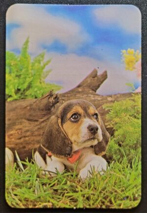Calendário de Bolso (Tema Animais - Cachorros) Ano 1995