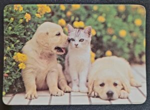 Calendário de Bolso (Tema Animais - Cachorros) Ano 2008
