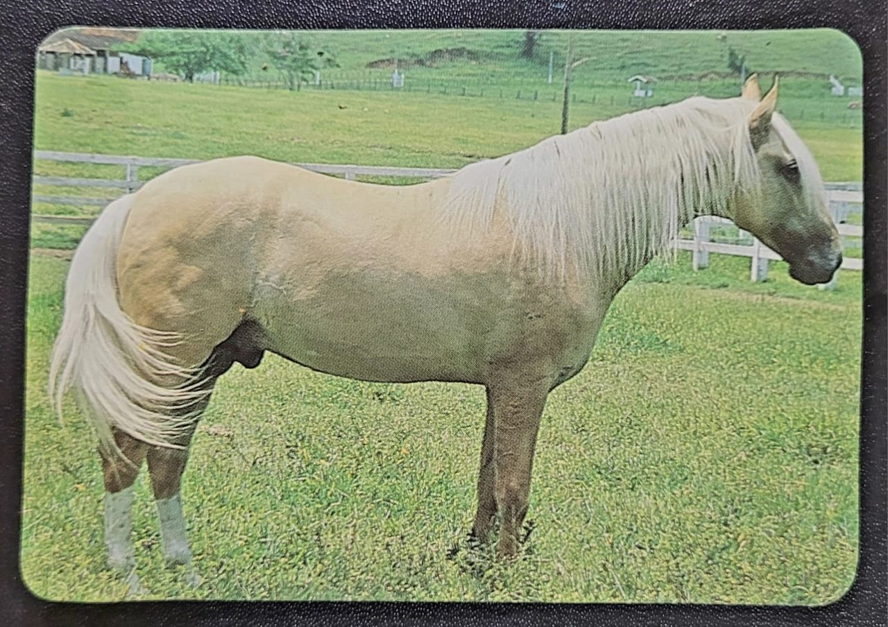 | Casa do Colecionador Calendário de Bolso (Tema Animais - Cavalos) Ano 1994