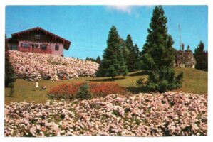 Cartão Postal Gramado ( RS ) - Vista Parcial Parque Knorr - Anos 70