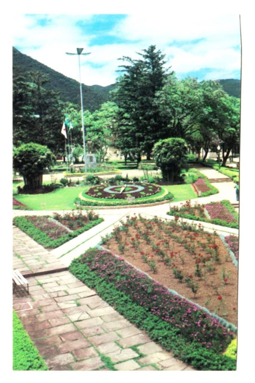 | Casa do Colecionador Cartão Postal Relogio Floral - Poços de Caldas - ( MG ) - Anos 70