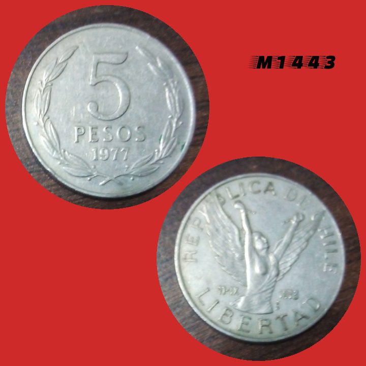 | Casa do Colecionador Moeda Chile - 5 pesos - CuproNíquel - 6,85g - 26,2mm - 1977 - M1443
