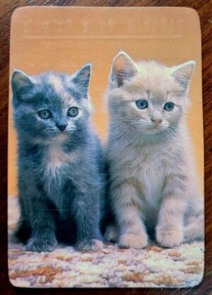 Calendário de Bolso (Tema Animais - Gatos) Ano 1985