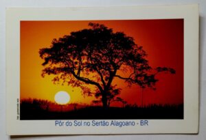 Cartão Postal - Alagoas - Por do Sol no Sertão Alagoano