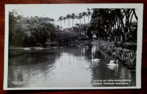 Cartão Postal - Minas Gerais (Juiz de Fora) Parque Mariano Procópio com Cisnes – Foto Postal Colombo – Datado de 1959