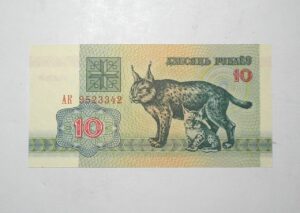 Bielo Russia / Cédula Estrangeira / 10 Rublei - 1992 / Flor de Estampa