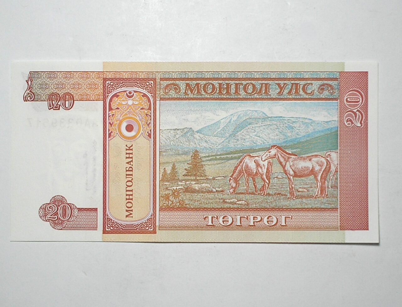 | Casa do Colecionador Mongolia / Cédula Estrangeira / 20 Tugtik – 1993 / Flor de Estampa