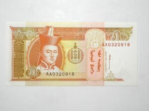 Mongolia / Cédula Estrangeira / 5 Tugtik – 1993 / Flor de Estampa