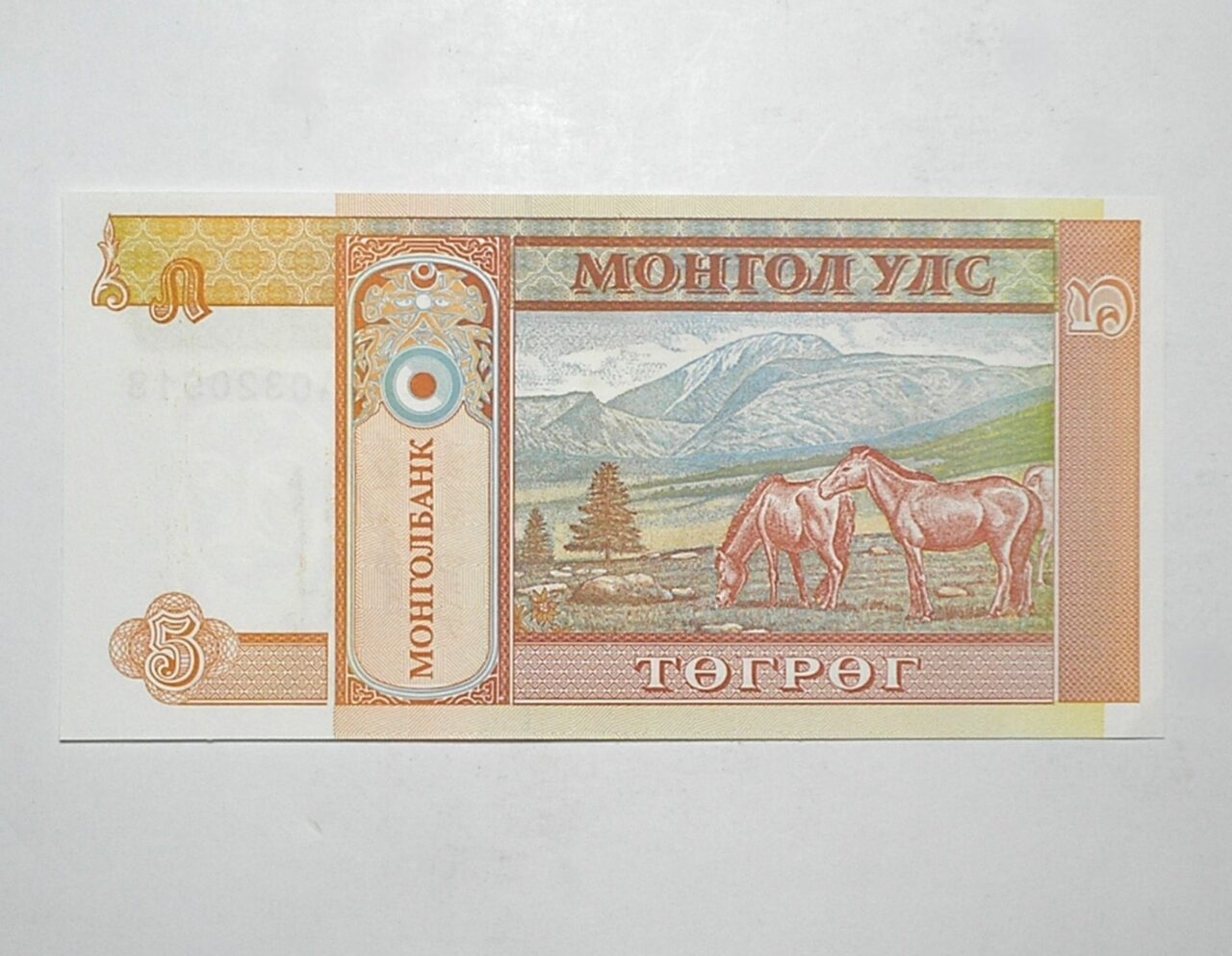 | Casa do Colecionador Mongolia / Cédula Estrangeira / 5 Tugtik – 1993 / Flor de Estampa