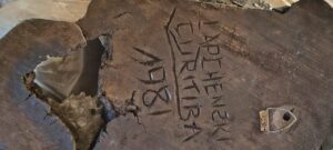 Carranca antica em madeira do artista Lapchenzki