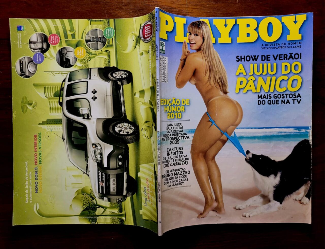 | Casa do Colecionador Playboy Nº 416 (Janeiro/2010) Juju Salimeni - Pânico na TV | Revista com Pôster