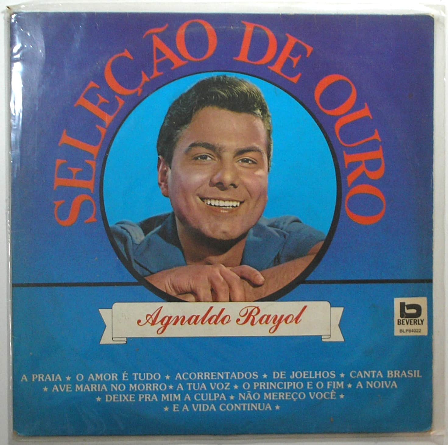 | Casa do Colecionador Álbum Vinil Disco " Agnaldo Rayol "- Seleção de Ouro / - Parada 1991 (Grandes Sucessos / Beverly / Em Excelente estado de conservação quase novo / Disco de colecionador