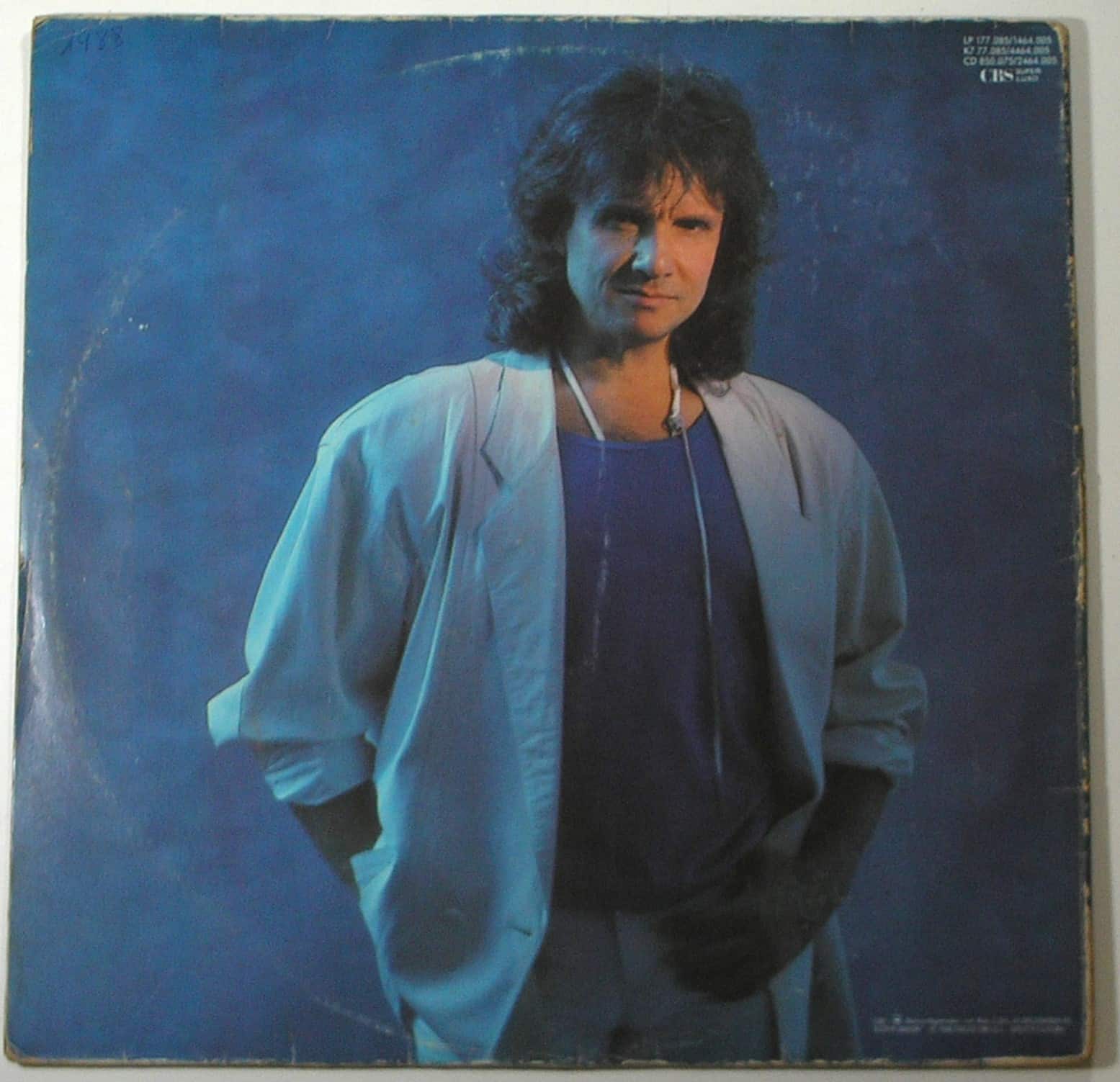 | Casa do Colecionador Álbum Vinil Disco "Quem não gosta do Roberto Carlos "-Se diverte e ja não pensa em mim / - Parada 1988 (Grandes Sucessos / CBS / Em excelente estado de conservação