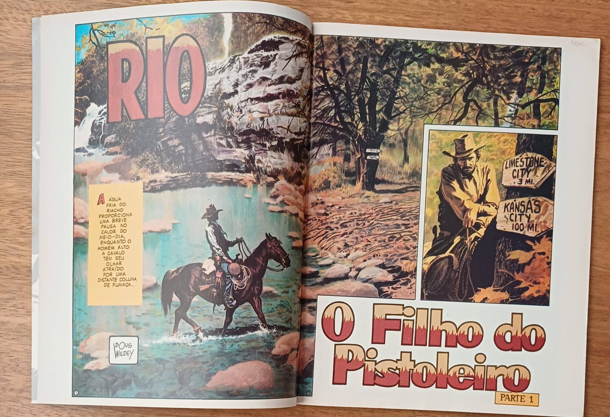 | Casa do Colecionador Fg. Gibi Graphic Novel Globo. Rio por Doug Wilsey.