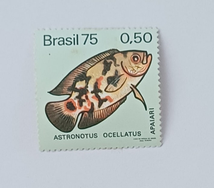 | Casa do Colecionador Selo brasil 1975. Peixe de água doce Apaiari