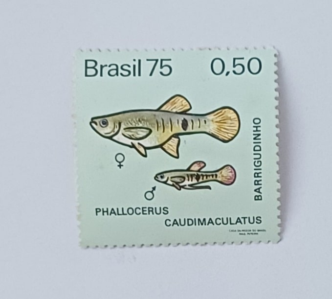 | Casa do Colecionador Selo brasil 1975. Peixe de água doce Barrigudinho