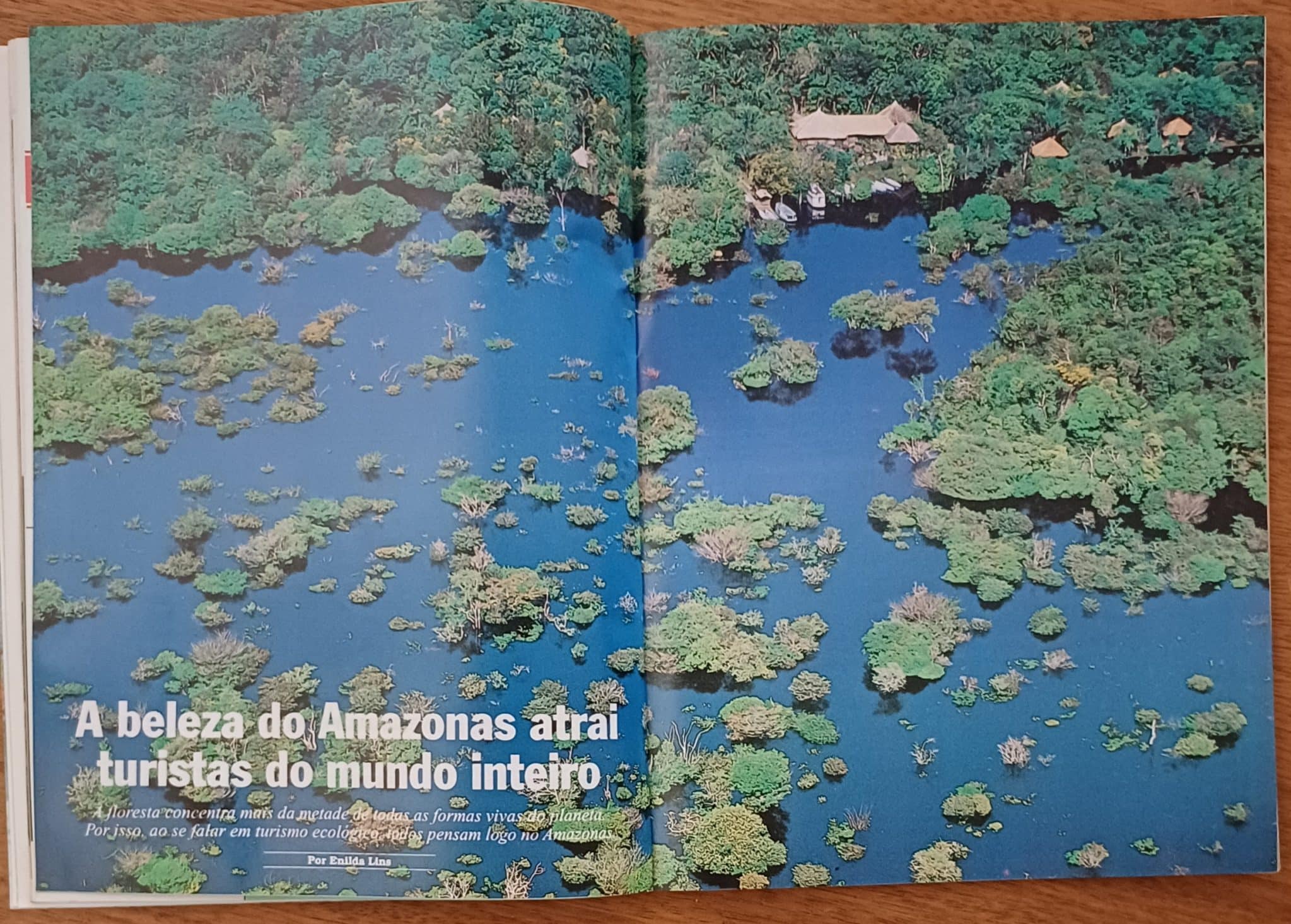 | Casa do Colecionador Rgr28. Amazônia nossa 9. Cuniã Sauim de coleira Emanuel Pontes. - Imagem 4