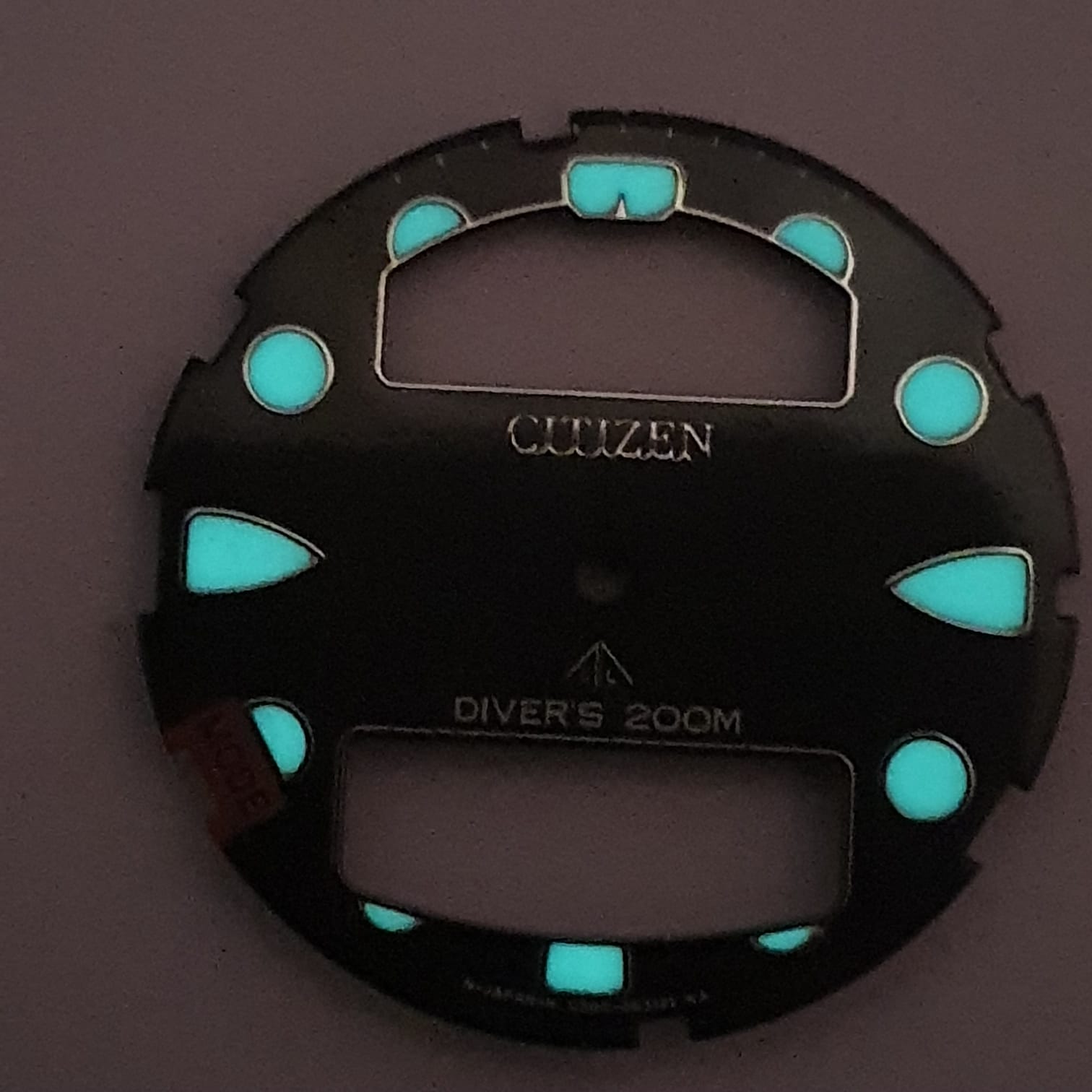 | Casa do Colecionador Mostrador Citizen Aqualand JP-C500 Promaster Preto Série Prata