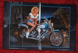 Poster cartaz 56 x 92 cm A Motoqueira Harley Davidson.