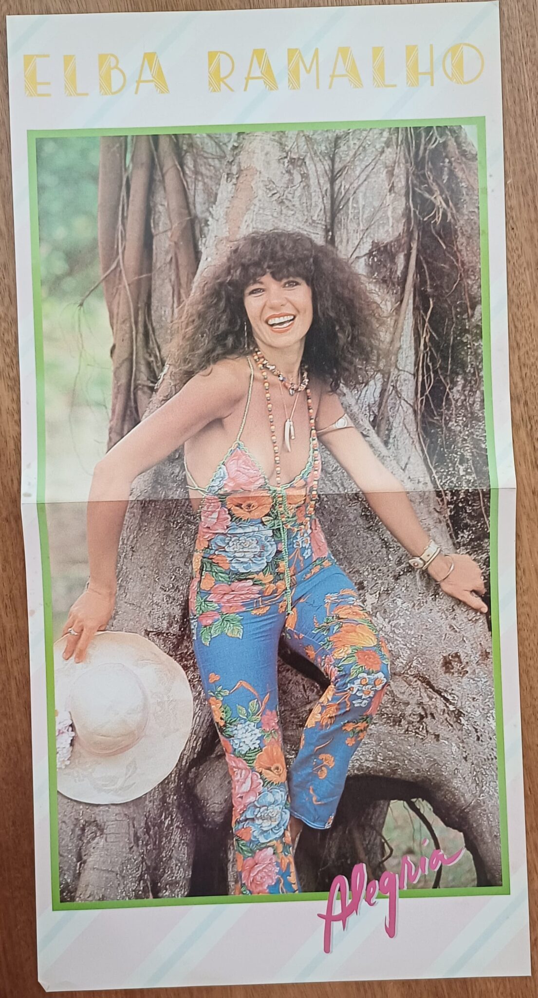 | Casa do Colecionador Vinil lp Elba Ramalho Alegria. Dominó Chego lá Bate coração.