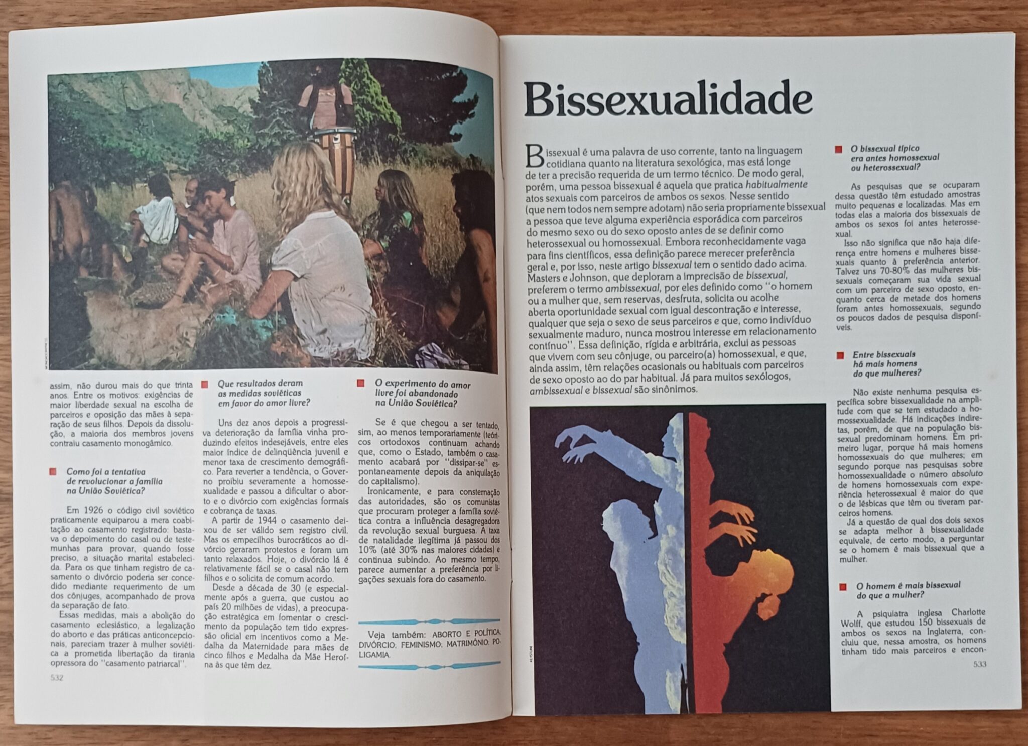 | Casa do Colecionador R28g. Fascículo Vida íntima 45. Família e amor livre.