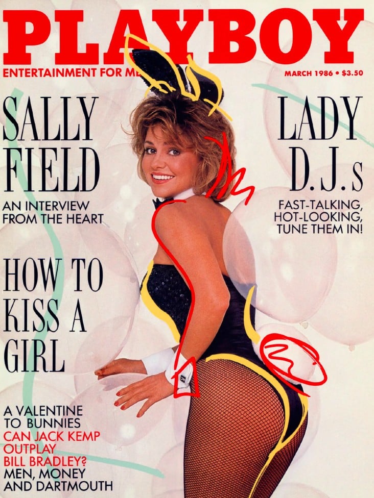 | Casa do Colecionador Revista Playboy americana em PDF, 12 edições 1986