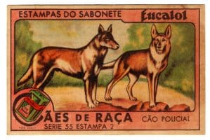 Estampas Eucalol - Cães de Raça - Série 55 - Estampa 2 - Anos 40 / 50 - 3° Emissão