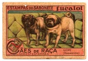 Estampas Eucalol - Cães de Raça - Série 57 - Estampa 4 - Anos 30 / 40 - 1° Emissão