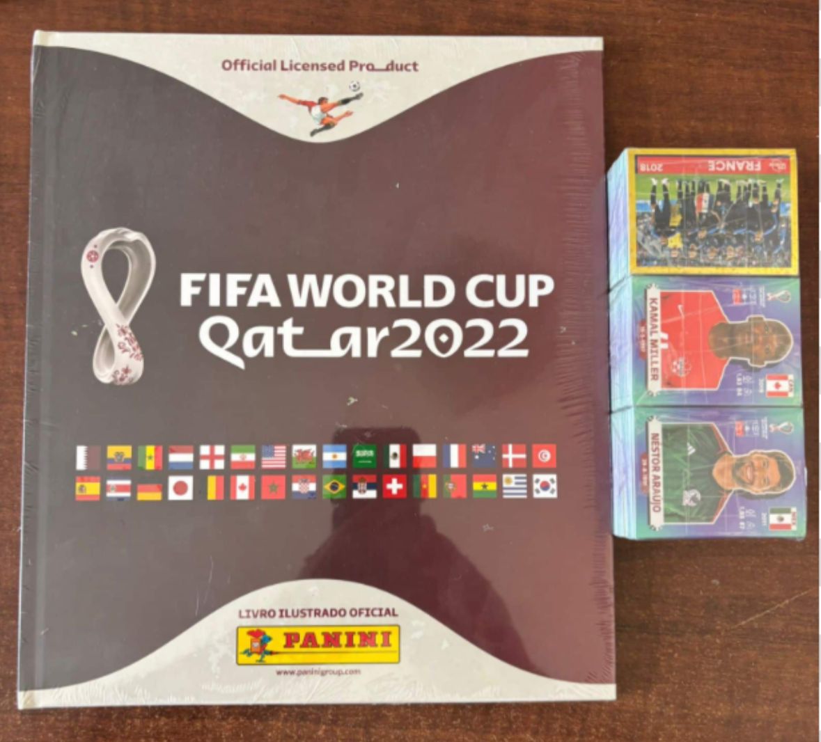| Casa do Colecionador 2 Albuns completos da copa do mundo 2018 e 2022