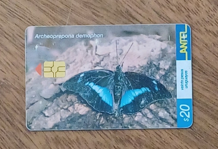 | Casa do Colecionador Cartão telefone Uruguai Antel 2002. Borboleta Archeoprepona.