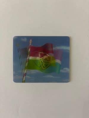 Figurinha Bandeira Fluminense Holográfica - Brasileiro 2001