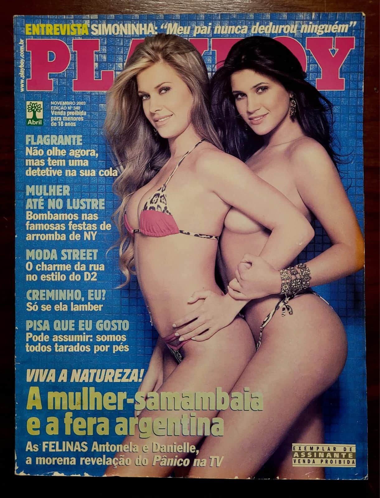 | Casa do Colecionador Playboy Nº 340 | Novembro 2003 | As Felinas - Antonela e Danielle Souza | Exemplar de Assinante | Pôster Presente
