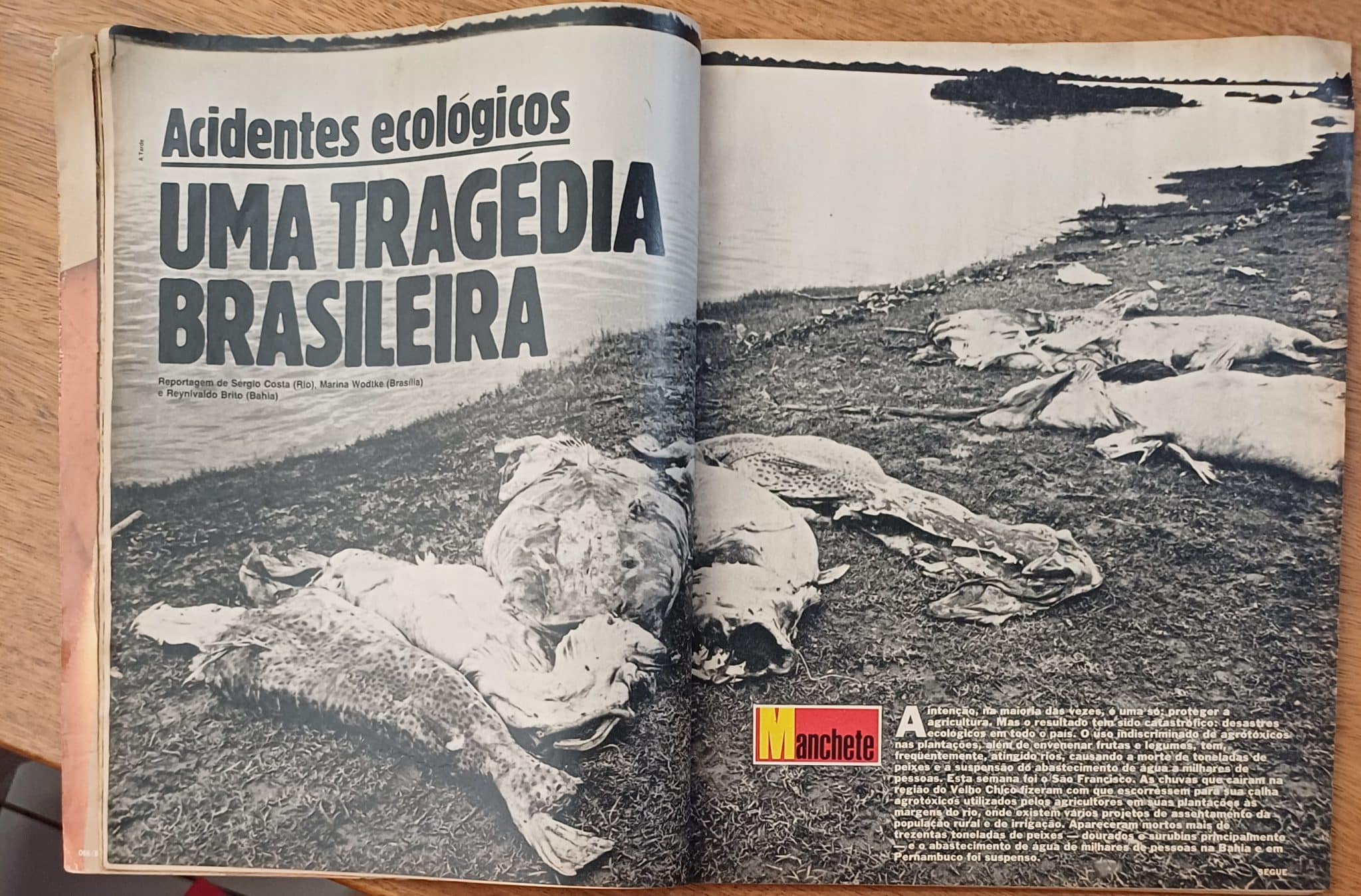 | Casa do Colecionador G31. Revista Manchete 1668 ed Bloch 1984. Virgindade Infarto Amazônia Vôlei.